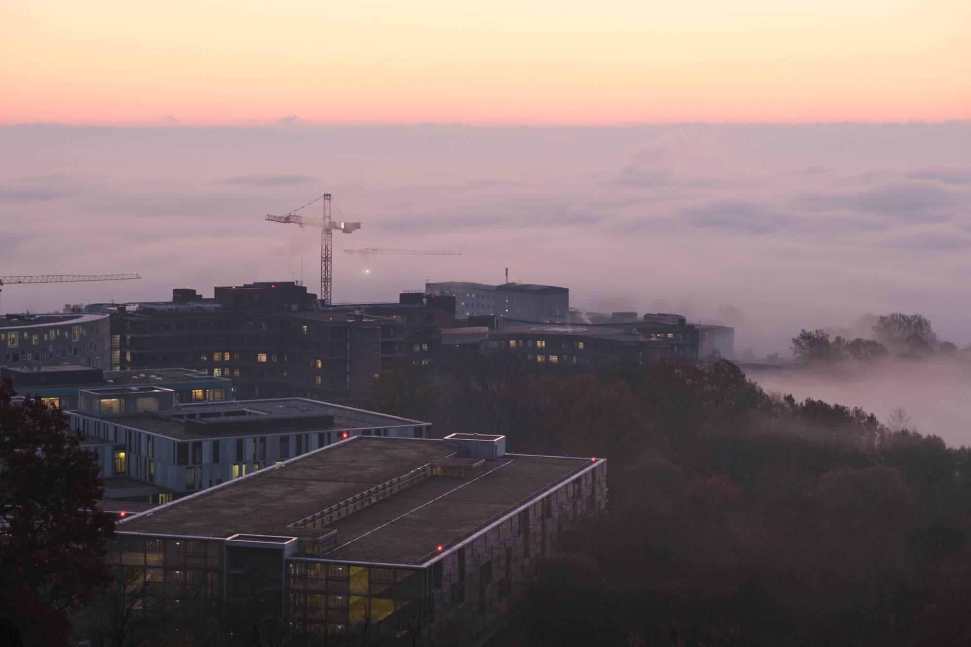 Sonnenaufgang am Steinenbergturm