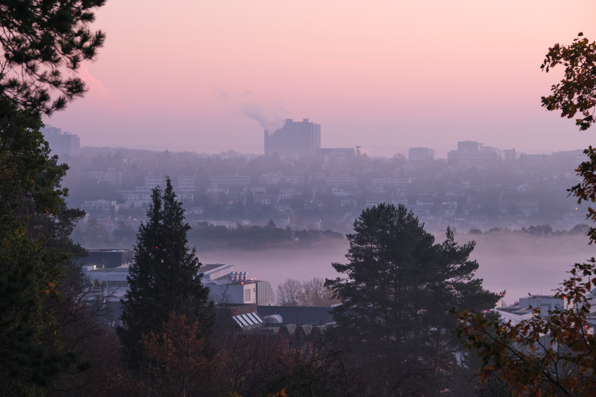 Sonnenaufgang am Steinenbergturm